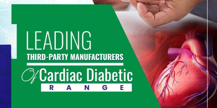 Best Third-Party Manufacturers in Himachal Pradesh